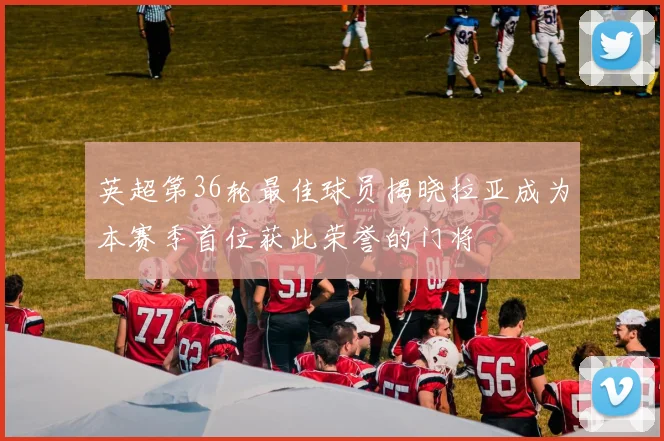 英超第36轮最佳球员揭晓拉亚成为本赛季首位获此荣誉的门将