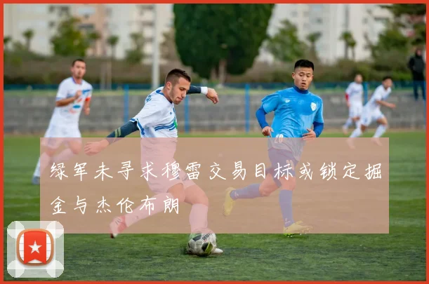 绿军未寻求穆雷交易目标或锁定掘金与杰伦布朗